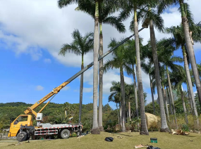 平涼吊裝與貨運服務 專業力量，高效運輸